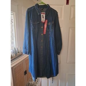 Frye Denim Dress